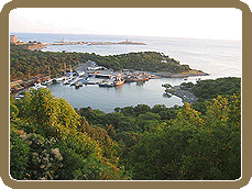 ������� �����