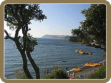 ���� ����� 