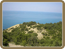 ��� �� ����