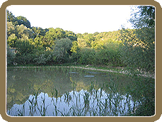 ��. �������������