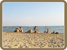 ���� �������