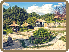 ���� ����������